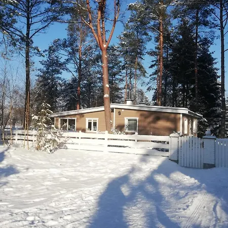 Sosnowy Azyl