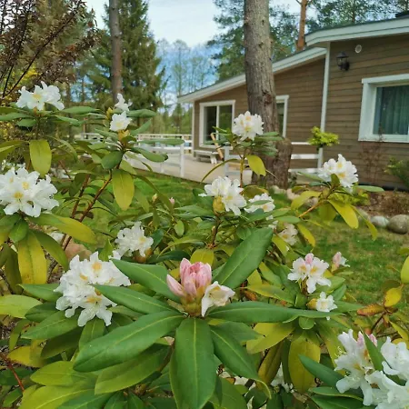 Sosnowy Azyl Villa *