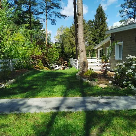 Sosnowy Azyl Wąglikowice