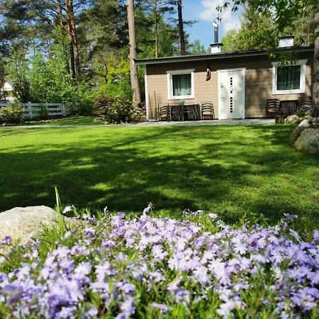 Villa Sosnowy Azyl Wąglikowice