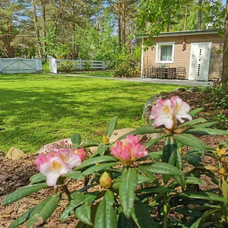 Sosnowy Azyl Villa Wąglikowice