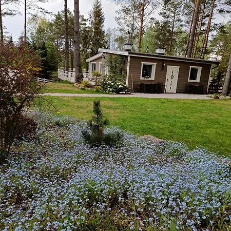 Villa Sosnowy Azyl *