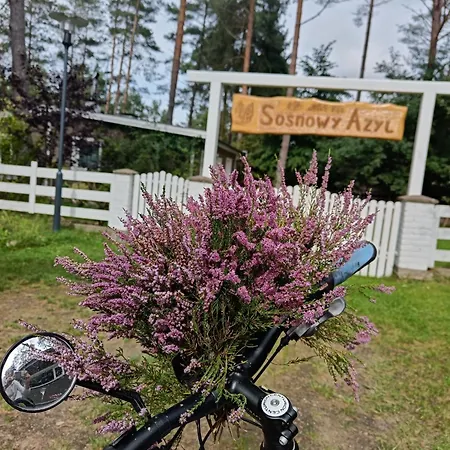 Sosnowy Azyl Wąglikowice