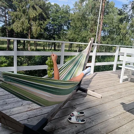 Villa Sosnowy Azyl Wąglikowice