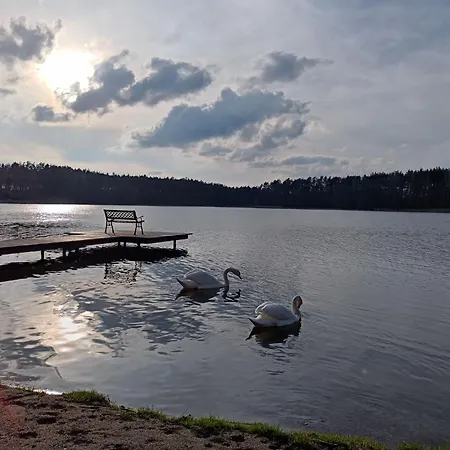 Villa Sosnowy Azyl *