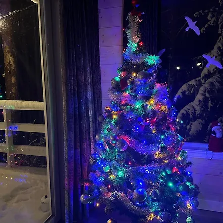 Villa Sosnowy Azyl Wąglikowice