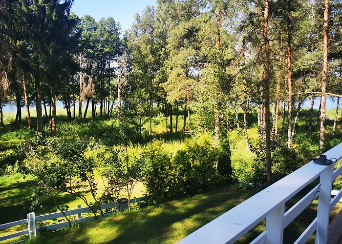 Sosnowy Azyl Wąglikowice