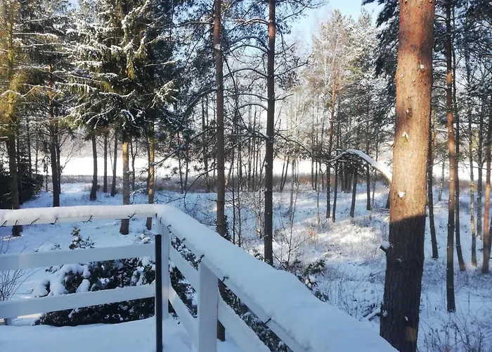 Sosnowy Azyl Willa Wąglikowice