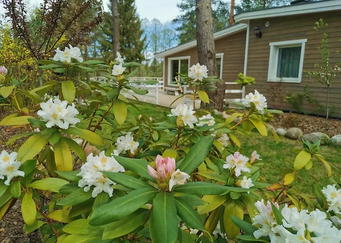 Sosnowy Azyl Willa *