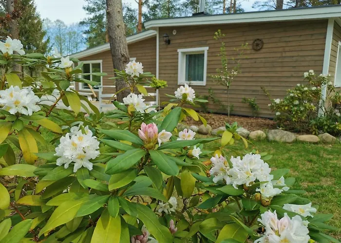 Sosnowy Azyl Willa Wąglikowice