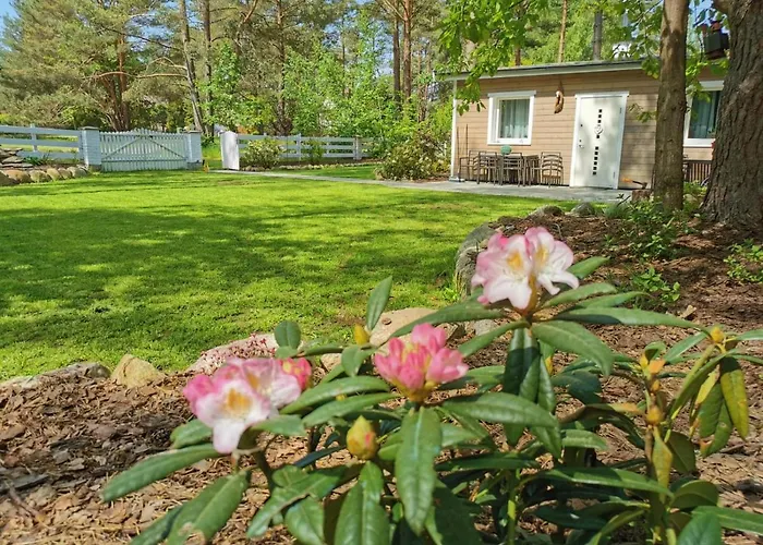 Sosnowy Azyl Willa Wąglikowice