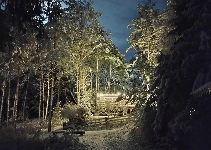 Sosnowy Azyl * Wąglikowice