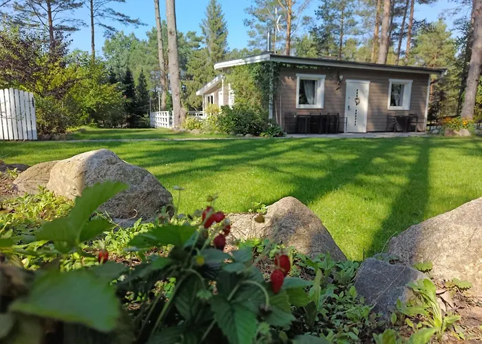 Sosnowy Azyl Willa *