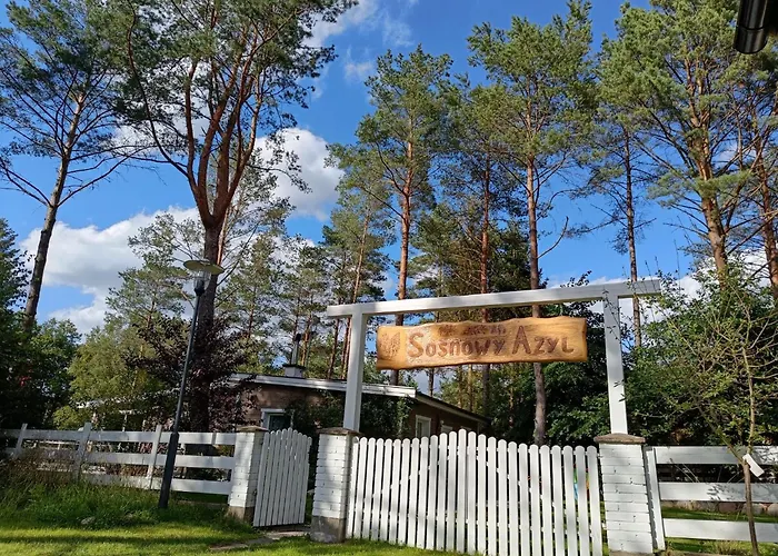 Willa Sosnowy Azyl *