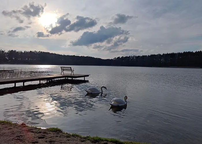 Willa Sosnowy Azyl *