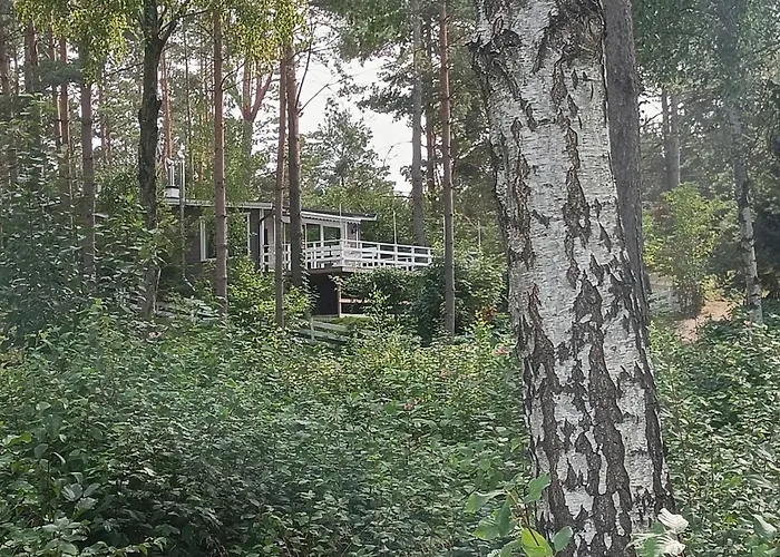 Willa Sosnowy Azyl *